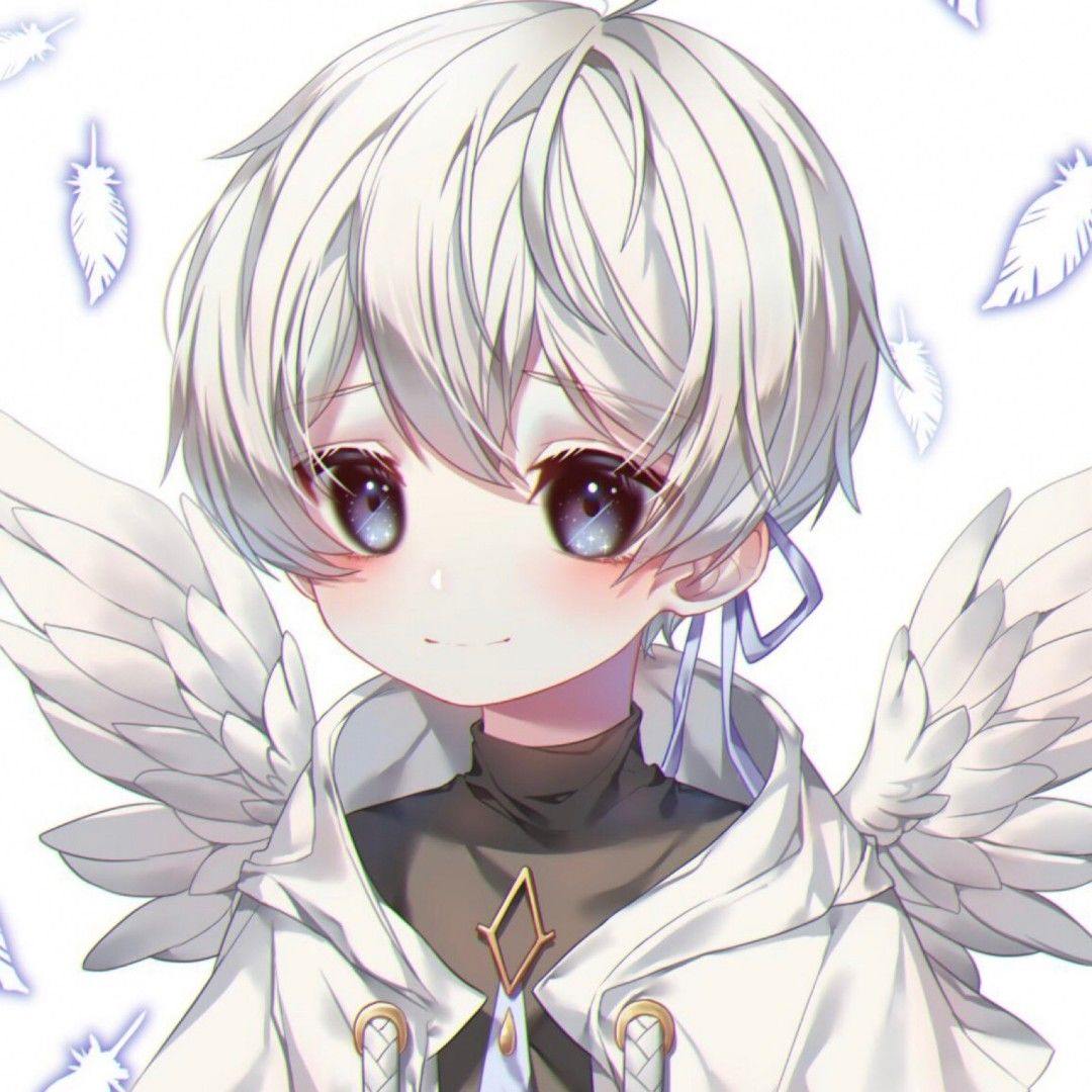 星轨同行封面